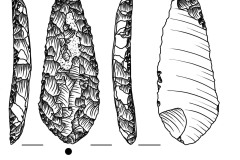 M11-10_W_rys_1