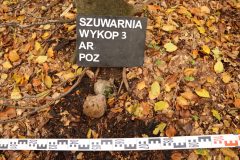 Szuwarnia-01-scaled