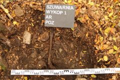 Szuwarnia-03-scaled